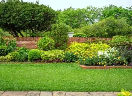 landscaping services Covington